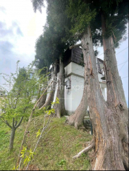 منزل شخصي 160 متر مربع - طريق المطار السريع, Batumi, جورجيا