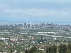 منزل شخصي 160 متر مربع - طريق المطار السريع, Batumi, جورجيا