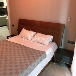 شقة سكنية 48 متر مربع - زقاق الأبطال, Batumi, جورجيا