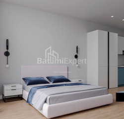 شقة سكنية 1-комн 30.3 m² - شالفا إيناساريدزه, Batumi