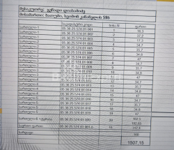 فندق 1347 متر مربع - بيتري ايبيري, Gonio, جورجيا