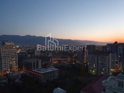 شقة سكنية 33 متر مربع - شالفا إيناساريدزه, Batumi, جورجيا