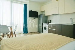 شقة سكنية 33.7 متر مربع - روستافيلي, Batumi, جورجيا