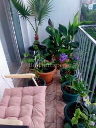 شقة سكنية 1-комн 31.8 m² - أنجيسا, Batumi