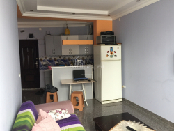 شقة سكنية 49 متر مربع - الكسندرا بوشكين, Batumi, جورجيا
