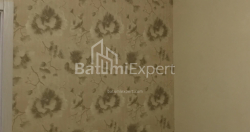 شقة سكنية 51 متر مربع - شالفا إيناساريدزه, Batumi, جورجيا