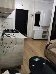 شقة سكنية 29 متر مربع - شالفا إيناساريدزه, Batumi, جورجيا