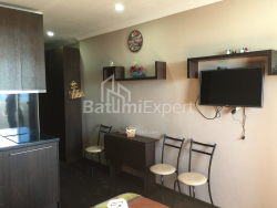 شقة سكنية 25 متر مربع - يوسف كوبالادزه, Batumi, جورجيا