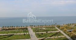 شقة سكنية 1-комн 172.5 m² - ليش وماريا كاتشينسكي, Batumi
